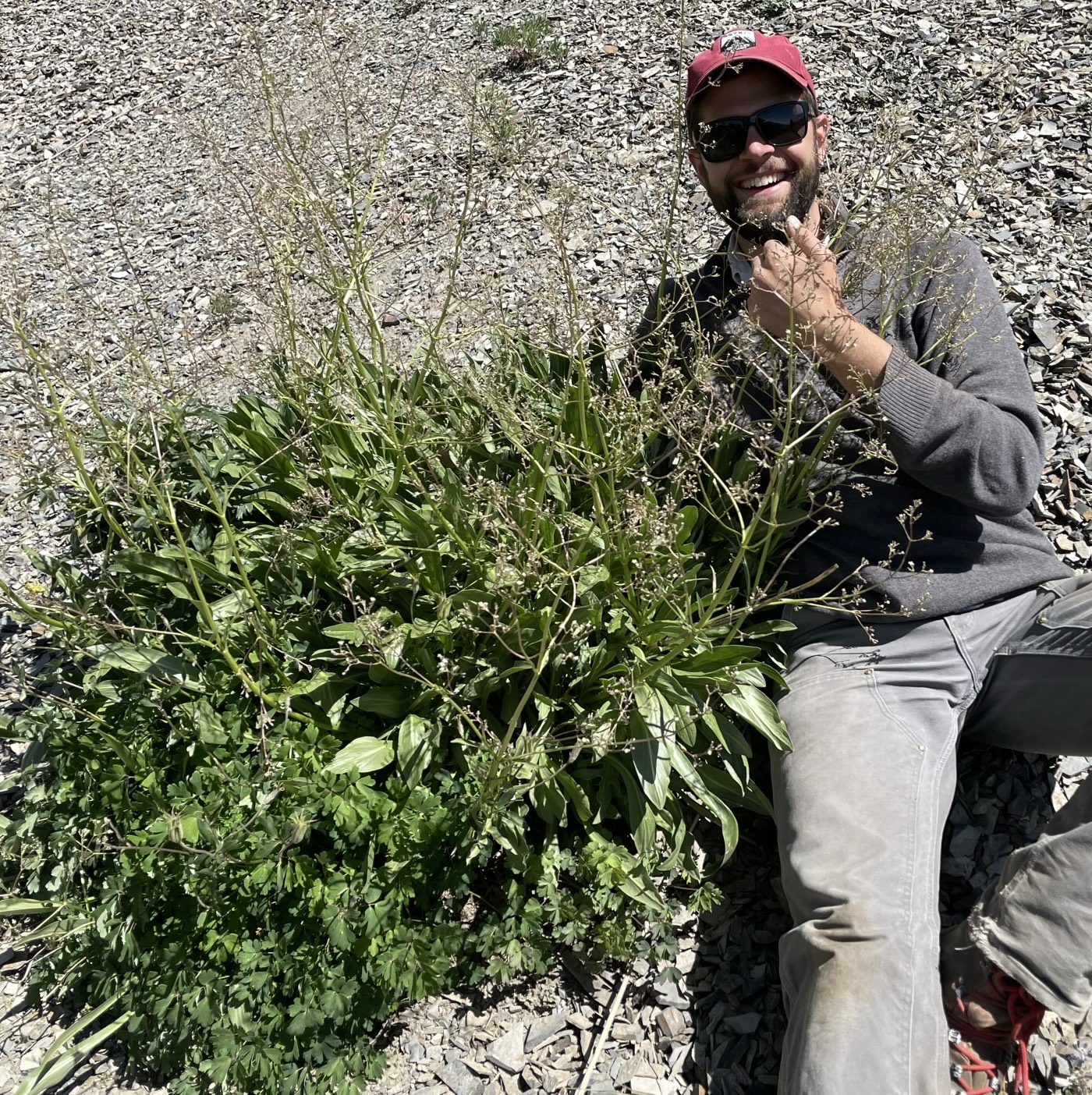 Will Petry sitting next to a very large plant rosette.